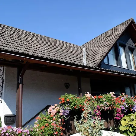 Apartmenthaus - Haus Am Schultal, 아파트 *