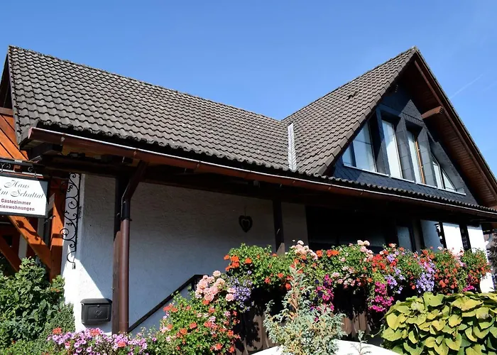 Apartmenthaus - Haus Am Schultal, Апартаменты *